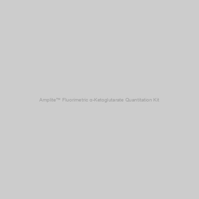 Amplite™ Fluorimetric α-Ketoglutarate Quantitation Kit